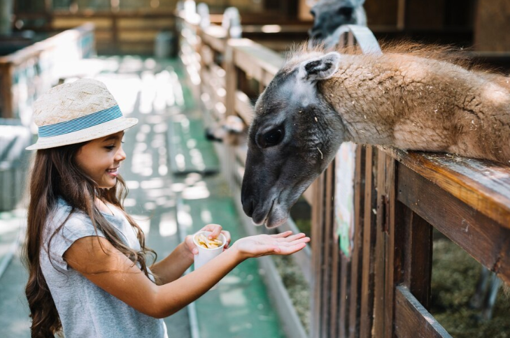 Sacramento Zoo