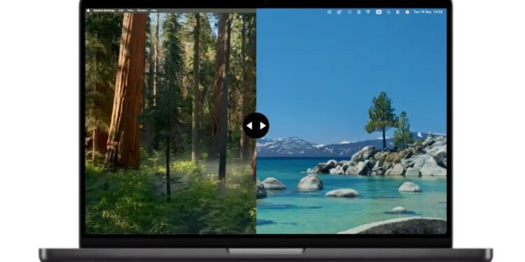 Revert new macOS to old macOS