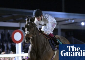 Constitution Hill’s win at Southwell showed the way to a brighter future for racing | Horse racing