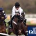 Jumps guru to help Constitution Hill but becoming a Flat track bully is first concern | Horse racing