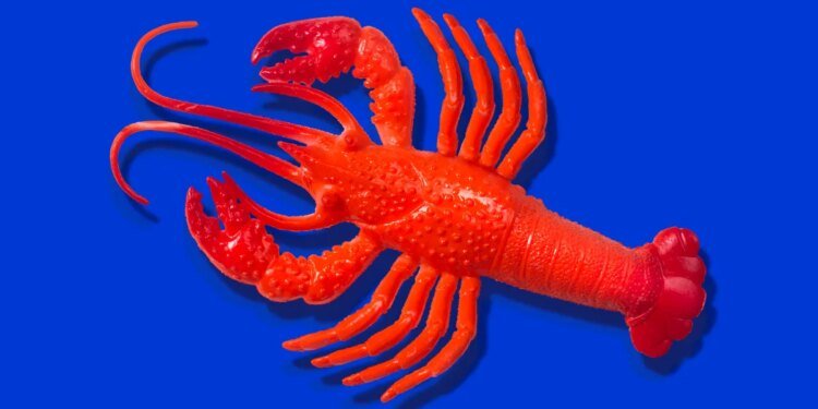 Red rubber lobster toy on blue background