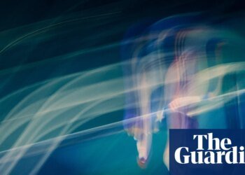 Winter Olympics briefing: the need for speed and a glut of skating records | Winter Olympics 2026