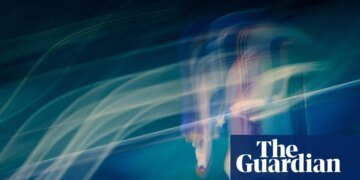 Winter Olympics briefing: the need for speed and a glut of skating records | Winter Olympics 2026