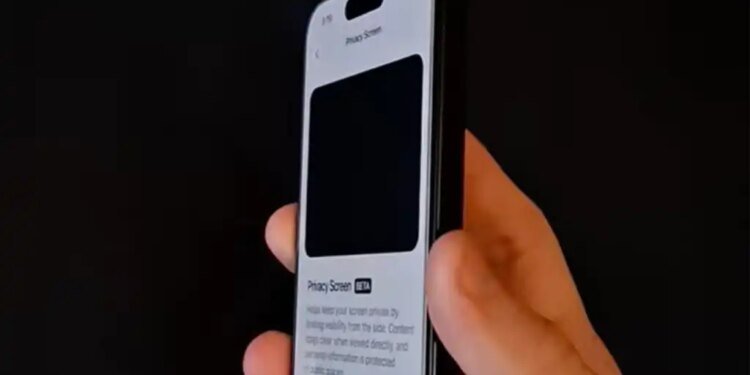 Fake iPhone Privacy video from TikTok