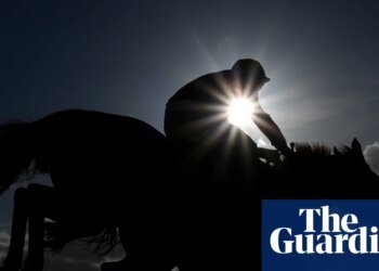 Lord Allen to become latest casualty of horse racing’s intractable politics | Horse racing