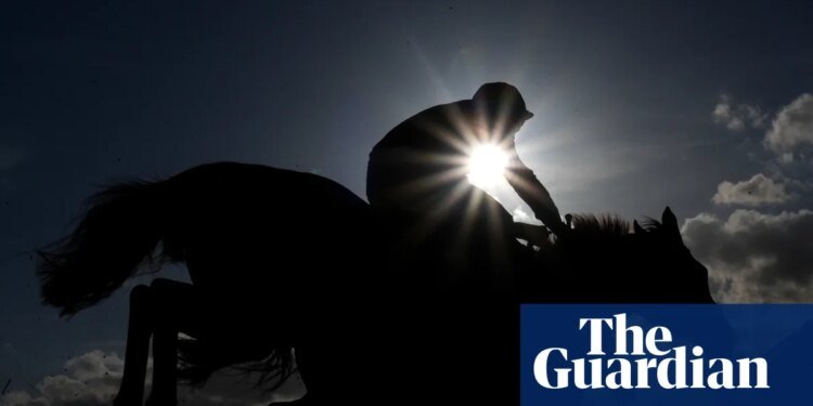 Lord Allen to become latest casualty of horse racing’s intractable politics | Horse racing