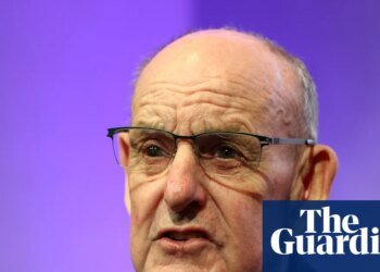 Racing’s crisis intensifies as Lord Allen quits BHA role after just six months | Horse racing